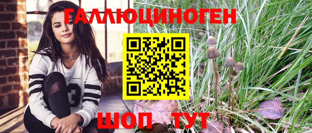 Апшеронск  Псилоцибиновые грибы Cubensis  Псилоцибиновые грибы Psilocybe  Вход с VPN 